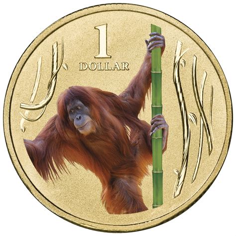 Zoo Coin Price
